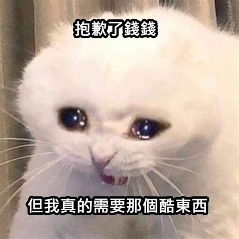 需要的東西